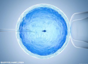 专业同志代怀助孕报价多少